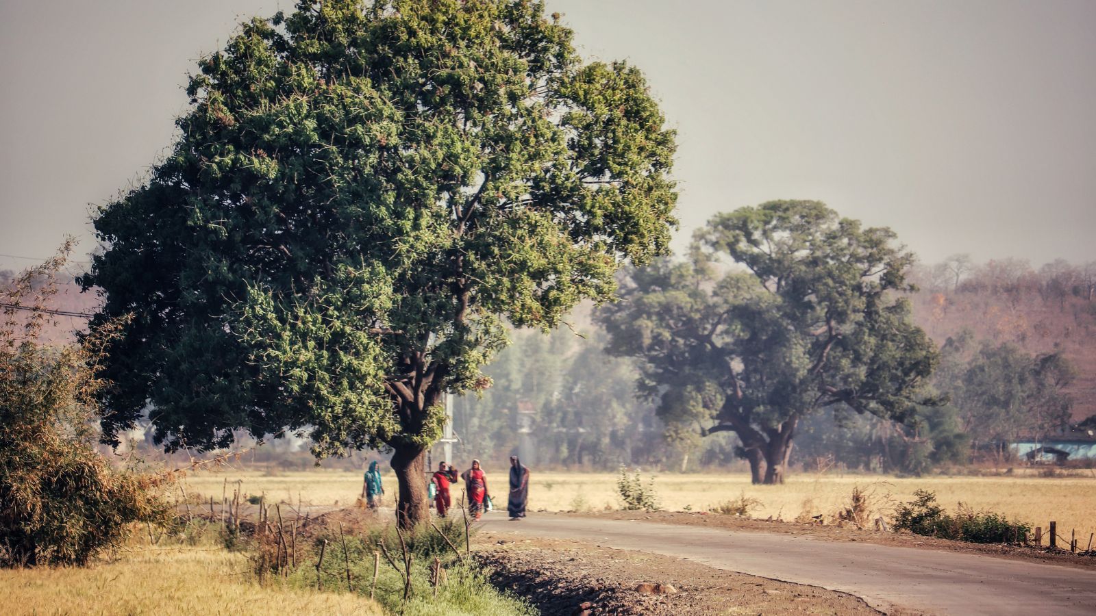 Banswara Pin codes, History, Attractions Banswara Pin codes, History, Attractions