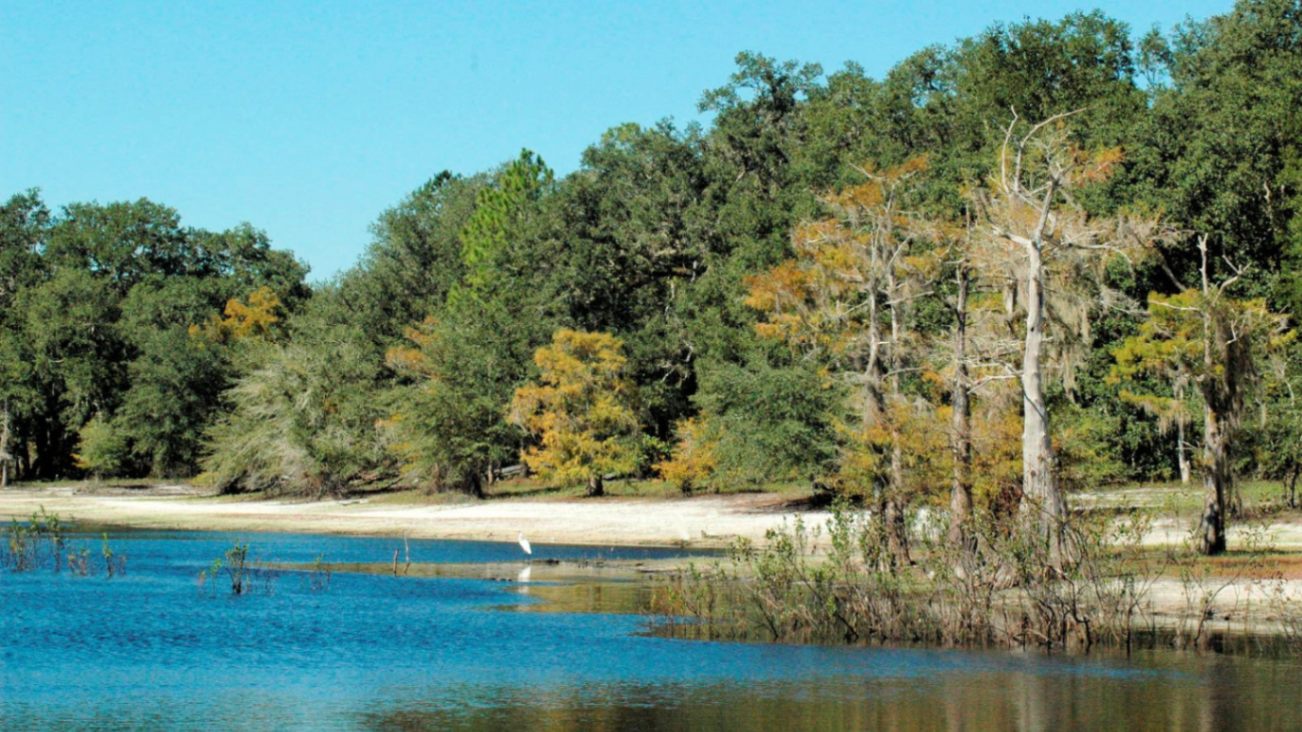 Rajapalayam Pin Codes, History, Places to Visit, Textile Industry Rajapalayam Pin Codes, History, Places to Visit, Textile Industry