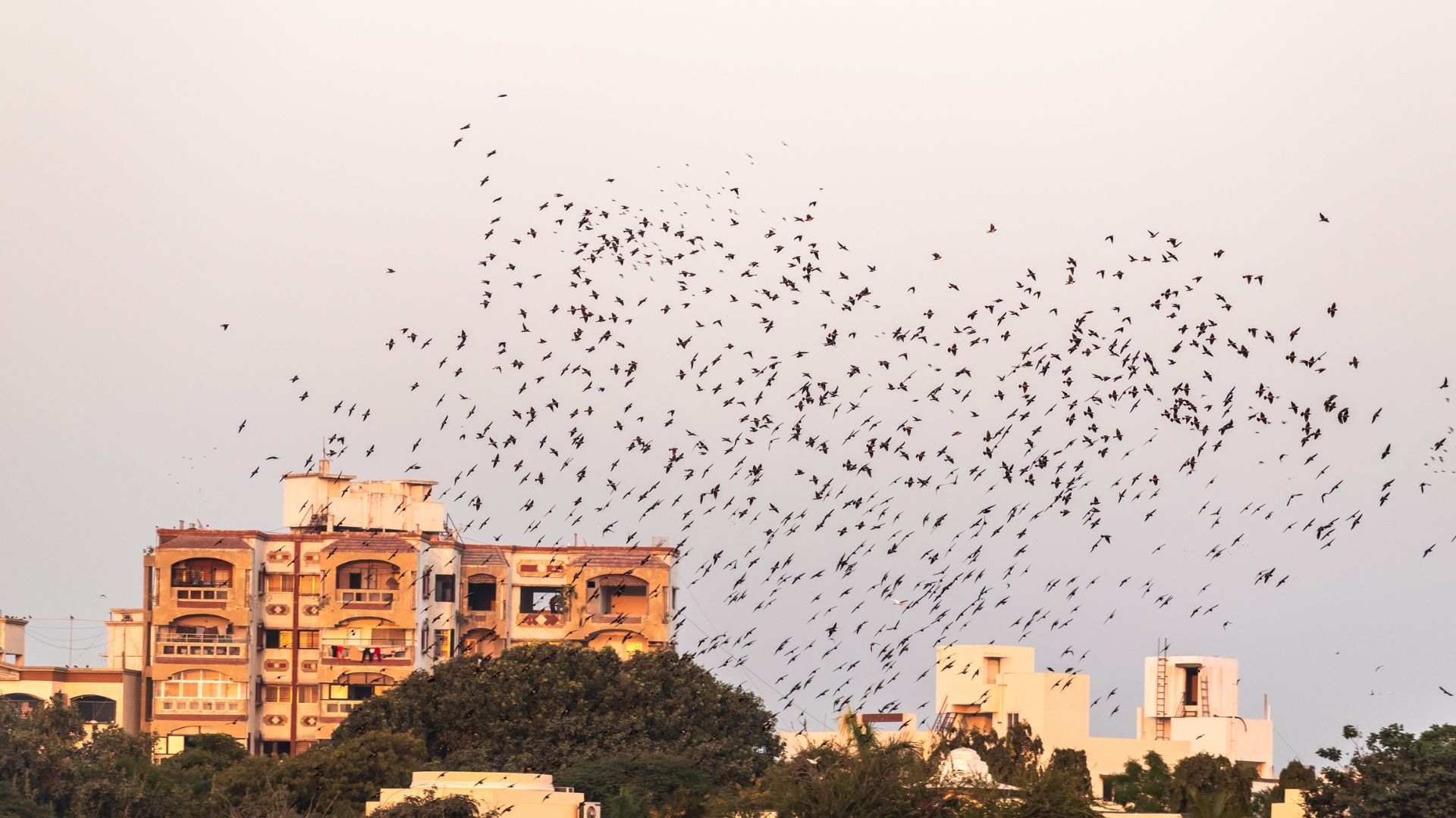 Jamnagar Pin Codes, History, Food and Places to Visit Jamnagar Pin Codes, History, Food and Places to Visit